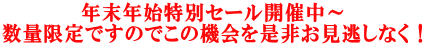 年末年始特別セール開催中～ 数量限定ですのでこの機会を是非お見逃しなく！