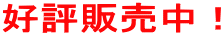 好評販売中！